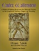VMP: Codex Wallerstein: A Medieval Fighting Book from the Fifteenth Century on the Longsword, Falchion, Dagger, and Wrestling